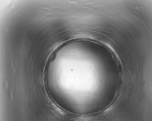 X0000059060799200510212025