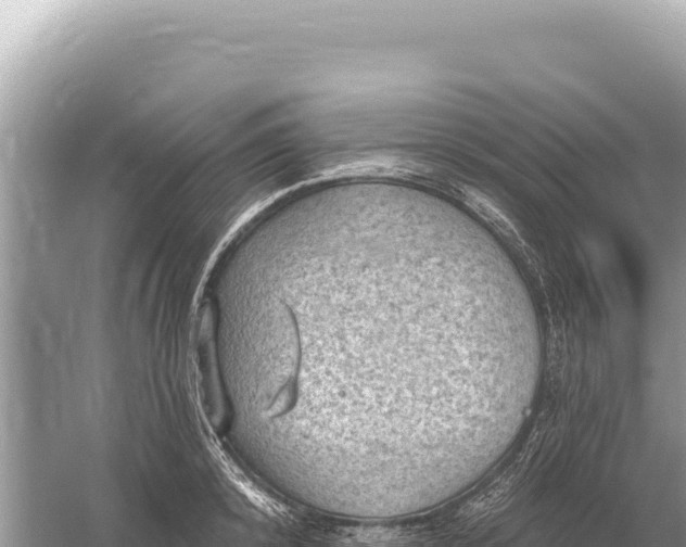 X0000059060800200510212025