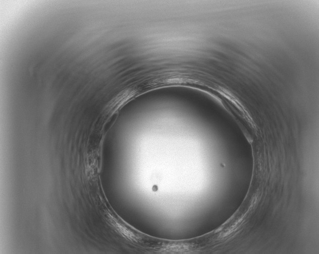 X0000059060801200510212025