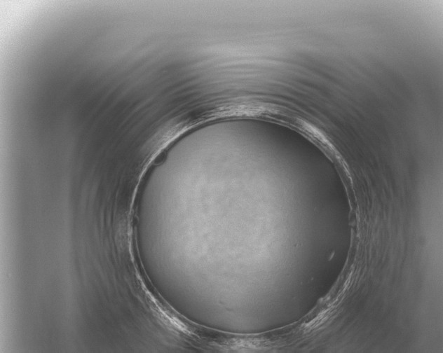 X0000059060802200510212025