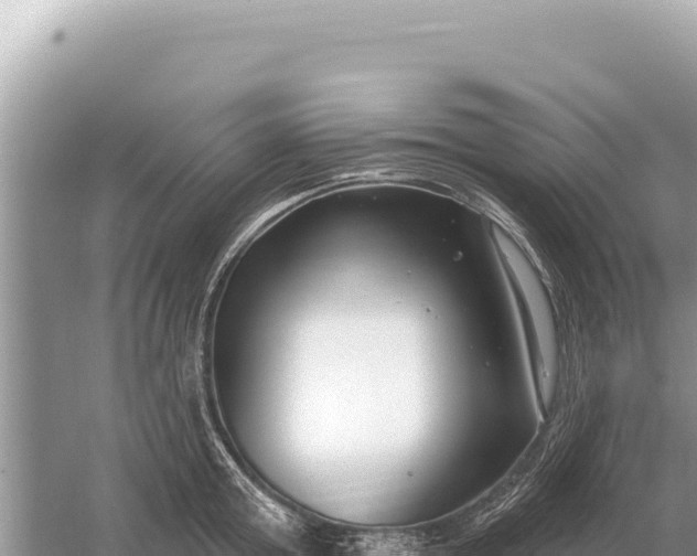 X0000059060803200510212025