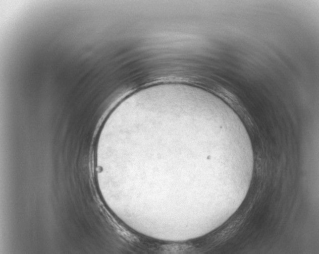 X0000059060804200510212025