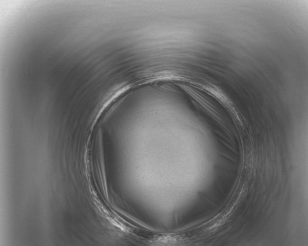 X0000059060806200510212025