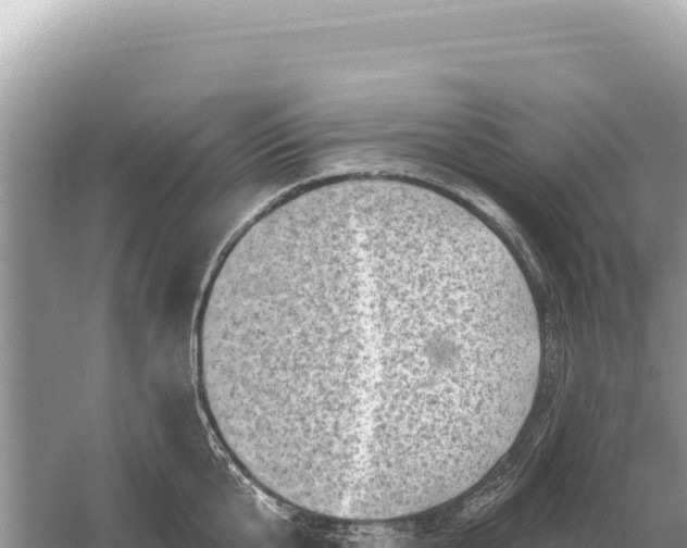 X0000059060807200510212025