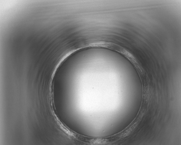 X0000059060808200510212025