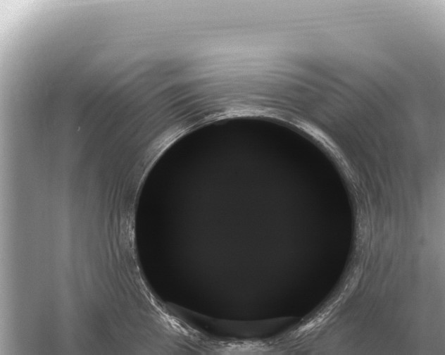 X0000059060809200510212025