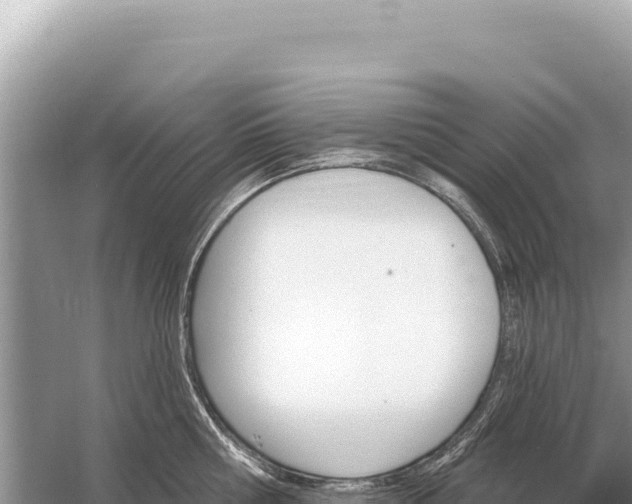 X0000059060810200510212025