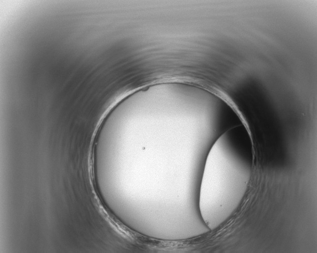 X0000059060811200510212025