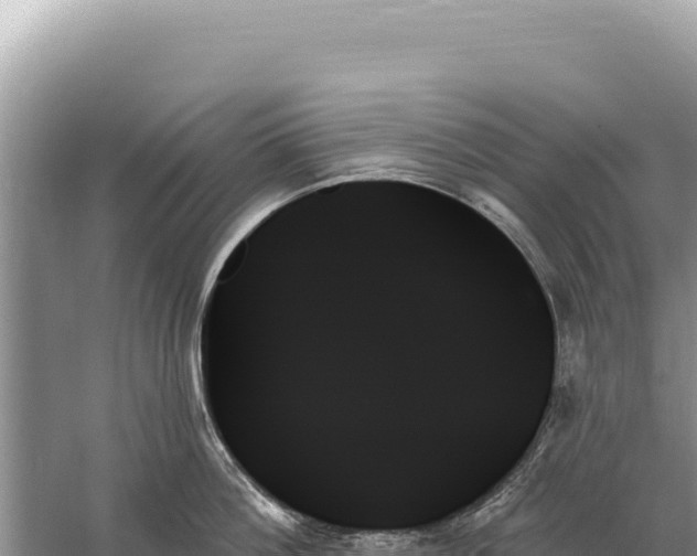 X0000059060812200510212025