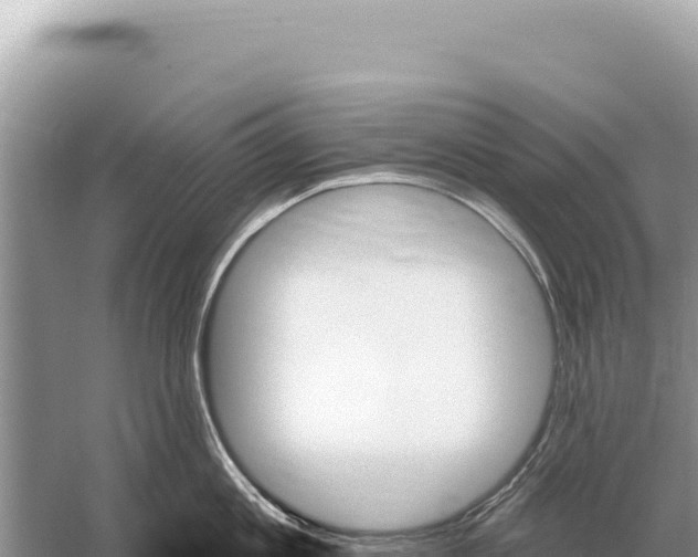 X0000059060813200510212025