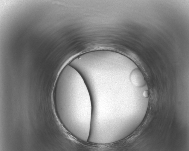 X0000059060814200510212025