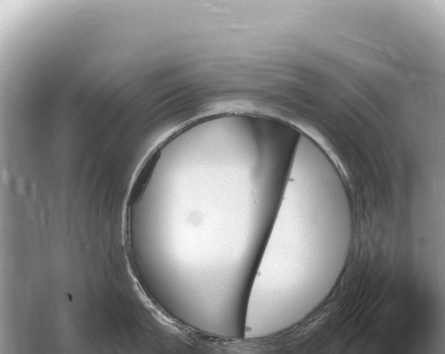 X0000059060815200510212025