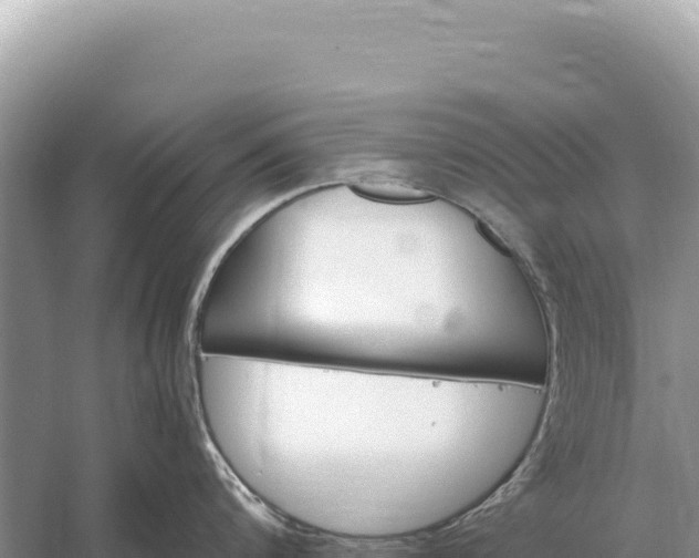 X0000059060816200510212025