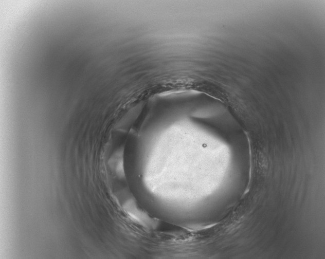 X0000059060818200510212024