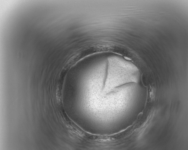 X0000059060819200510212024