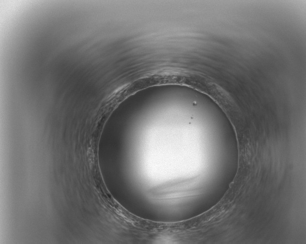 X0000059060821200510212024