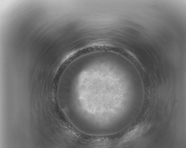 X0000059060823200510212024