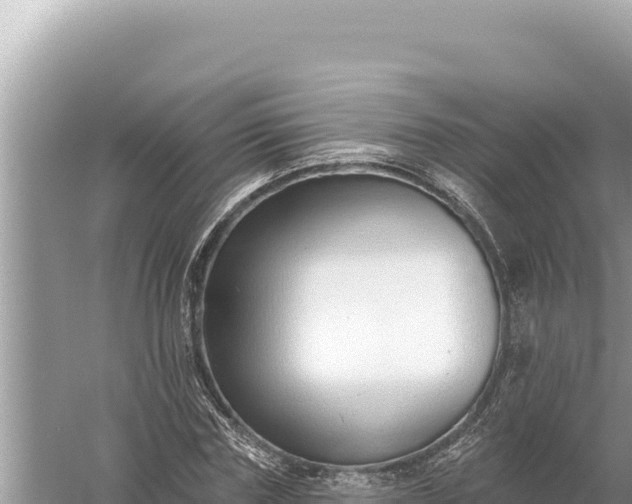 X0000059060827200510212024