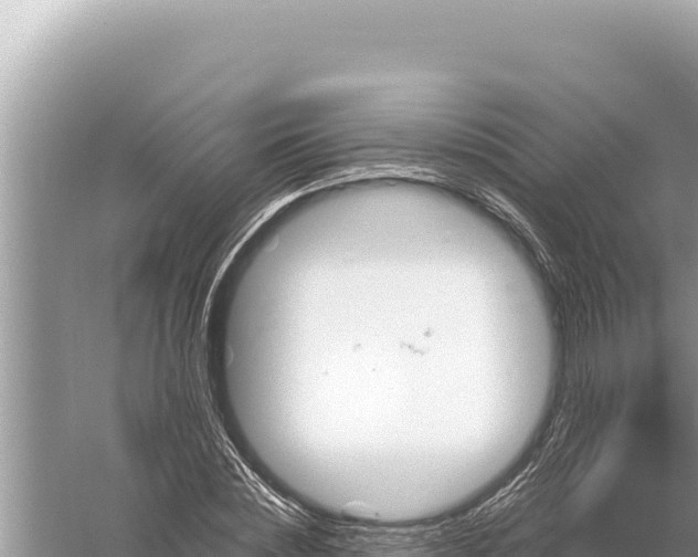 X0000059060828200510212024