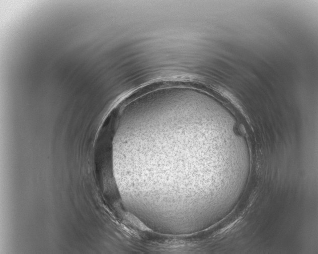 X0000059060829200510212024