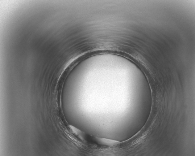 X0000059060830200510212024