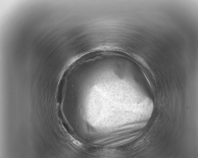 X0000059060831200510212024