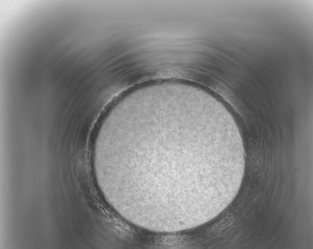 X0000059060832200510212024