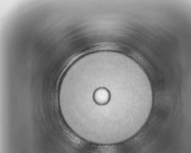 X0000059060836200510212024