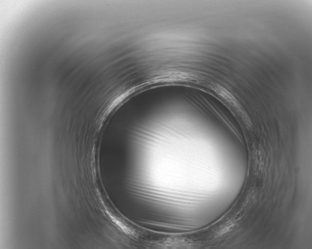 X0000059060842200510212025