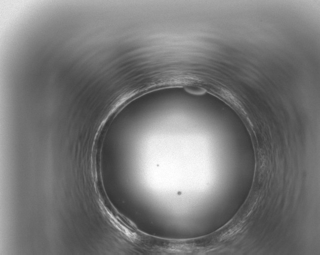 X0000059060843200510212025