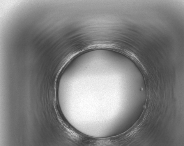 X0000059060844200510212025