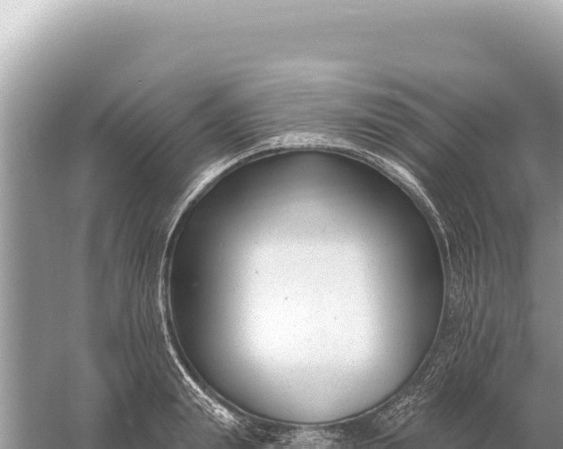 X0000059060847200510212025