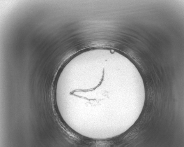 X0000059060848200510212025