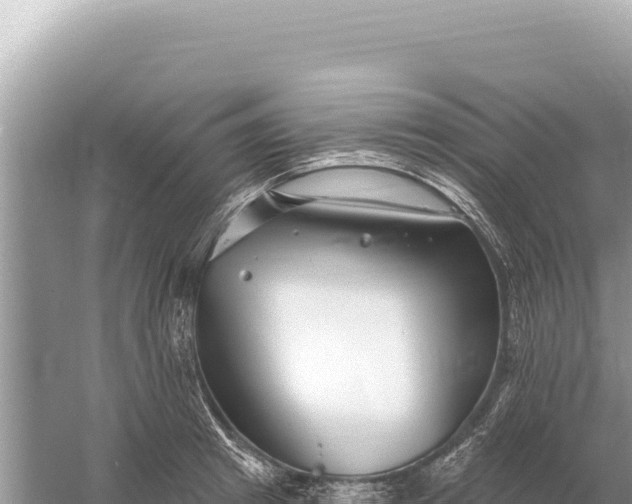 X0000059060849200510212025