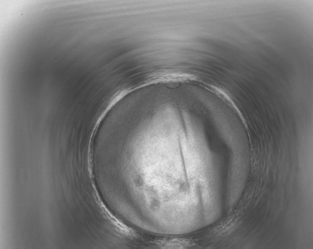 X0000059060851200510212025