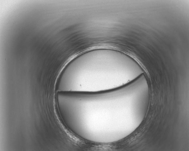 X0000059060853200510212025