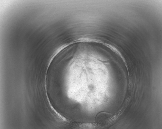 X0000059060855200510212025