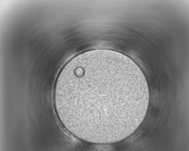 X0000059060856200510212025