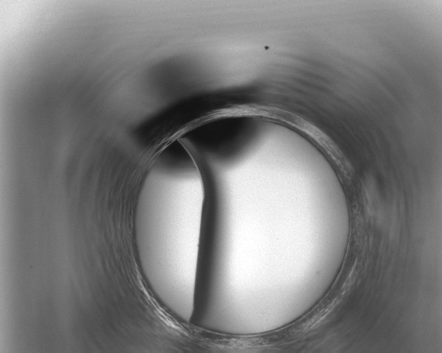 X0000059060857200510212025