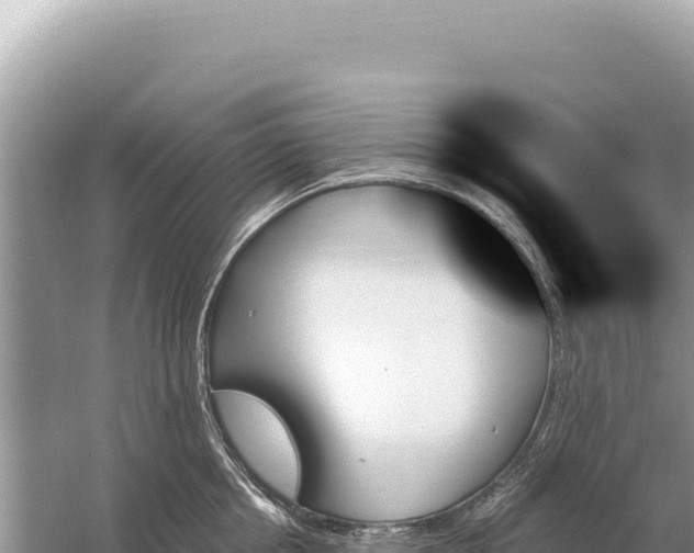 X0000059060858200510212025