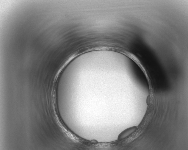 X0000059060859200510212025