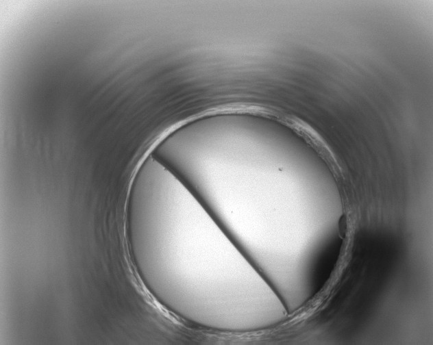 X0000059060860200510212025