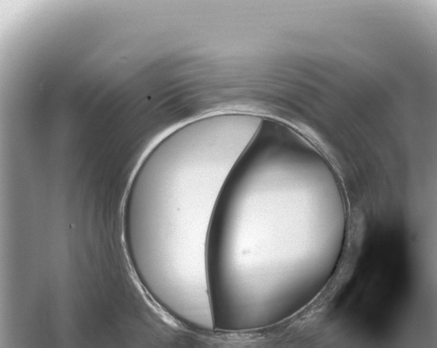 X0000059060862200510212025