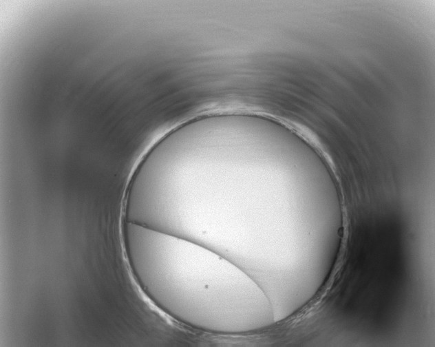 X0000059060863200510212025