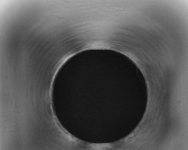 X0000059060864200510212025