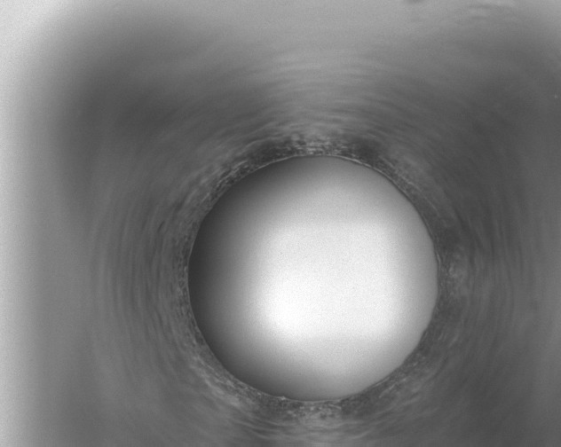 X0000059060865200510212024