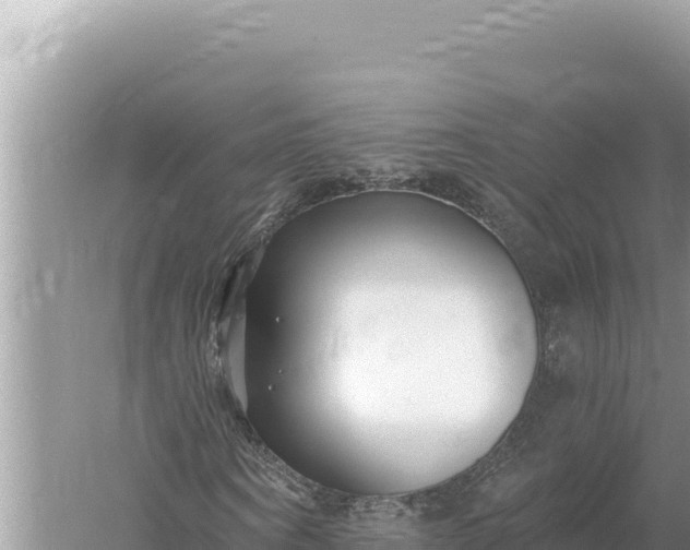 X0000059060866200510212024