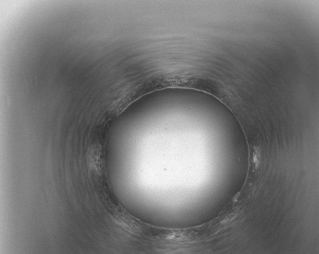 X0000059060867200510212024