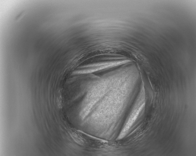 X0000059060868200510212024