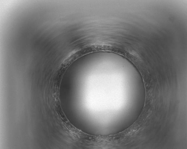 X0000059060870200510212024